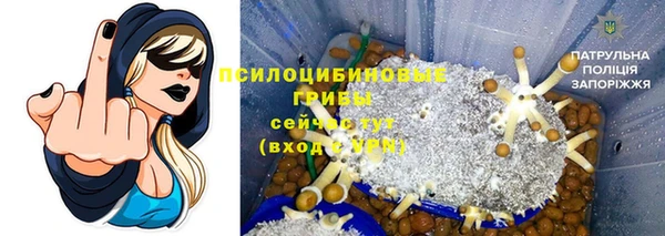 крисы Беломорск