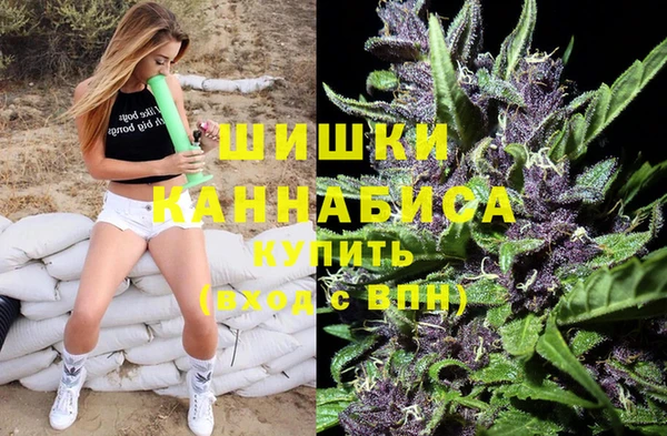 a pvp Белокуриха