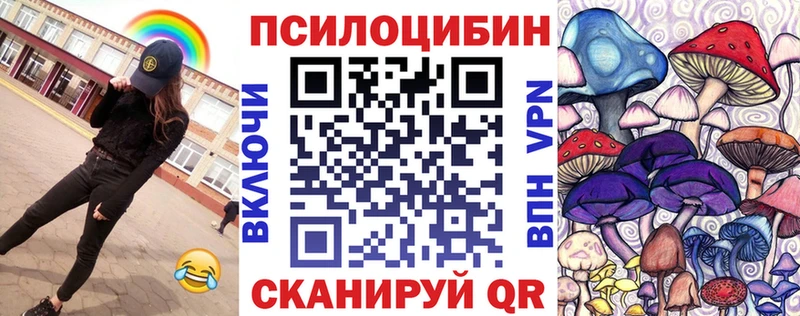 omg как зайти  Вязьма  Псилоцибиновые грибы Psilocybe 
