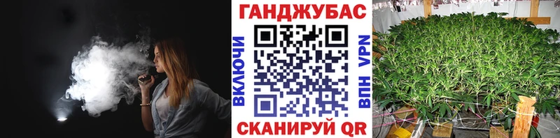 Бошки Шишки Amnesia  Вязьма 